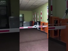 Wechselstrommotor-Schranktor BG-102